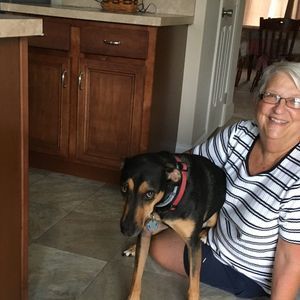 Meet your Posher, Dolores